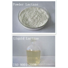 Lactase, Ph4 à 7, Tem30 à 60, Activité enzymatique 2 000 ACL U / g à 180 000 ACL U / g, forme pulvérulente et liquide, qualité alimentaire, bêta-galactosidase